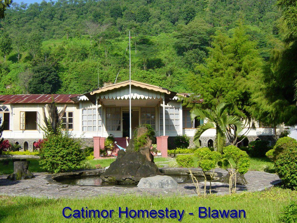 Catimor_Homestay_Blawan